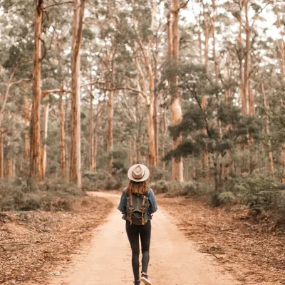 jonge vrouw stapt in het bos jonge vrouw stapt in het bos